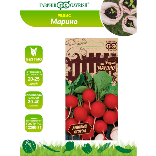 ���� ������ ����� ������ ����� ������� ������ �21 2 ��., ������ �� 193 ���