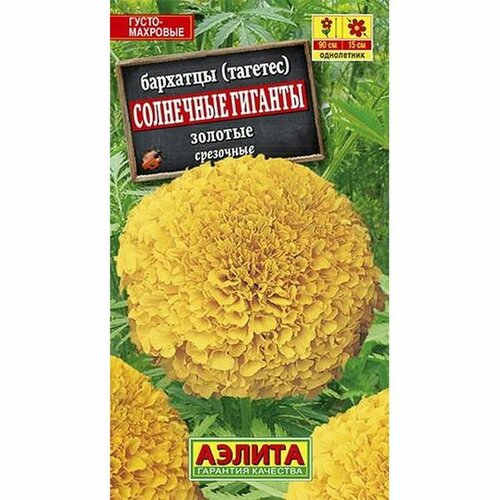 ���� ������. �������� 