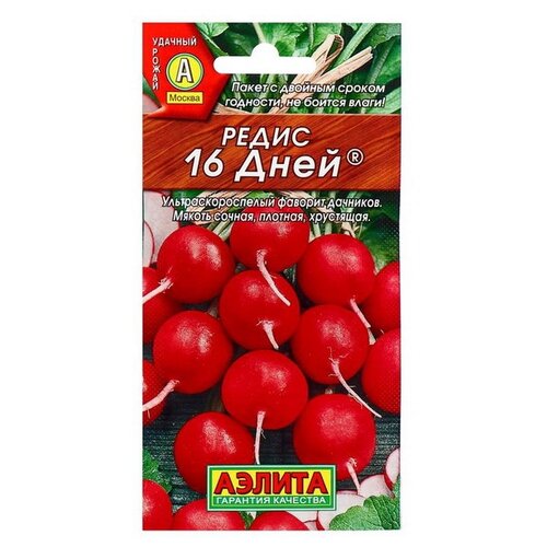 ���� ������ ��������� ������ ����� 16 ����, ������ �� 63 ���