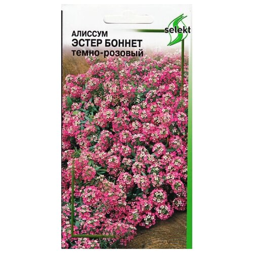 ���� ������� ������ ������, ����-�������, 20 �����, ������ �� 267 ���