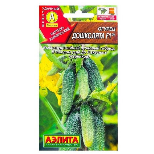 ���� ������ ������ 