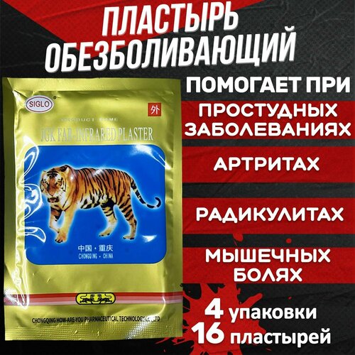 ���� �������� �������������� ���������, �� �������� ������, �������� ������������� �� ���� � ����� � ��������, ��������, 4 �������� 16 ����, ������ �� 320 ���