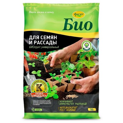 ���� ����� ��� ��� ����� � ������� 10�, ������ �� 668 ���