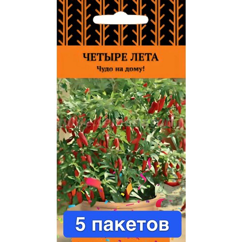 ���� ������ ������ ����� 