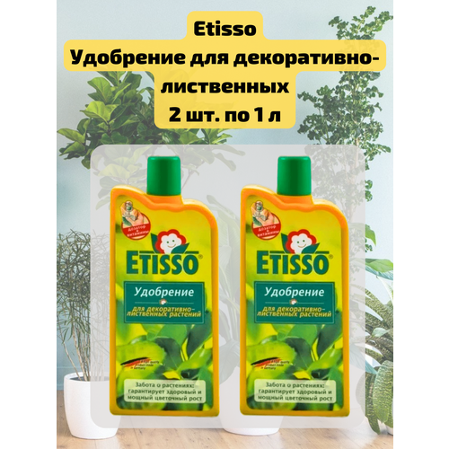 ���� �������� 2 ��. ��������� ������ ��� �����������-���������� �������� 1 �. Etisso, ������ �� 2421 ���