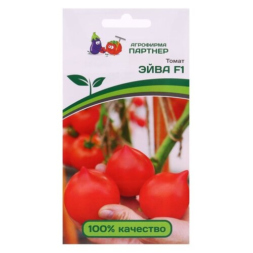 ���� ������ ��������� ������� ����� ���� F1, 0,05 �, ������ �� 335 ���