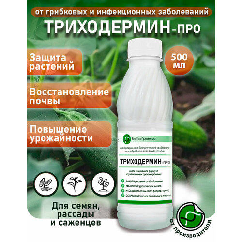 ���� ���������� ���������� - �����������-��� ������ 500 �� ����������� ��������� ��� �������� ������-���������. ���������� �������, ������ �� 414 ���