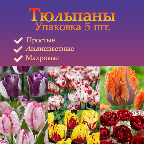 ���� �������� ��������� �����������, �� ������, ���������, ��������, ������ �� 370 ���