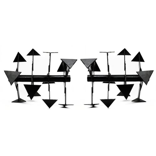 ���� ����� 