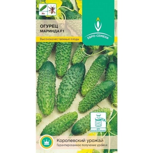 ���� ������ ������� F1. ������. ����������� ���� ��� ��������� ������ � ��������� ������. ���������������� ��������� 9-10 ��. ������, ��� ������, ������ �� 79 ���