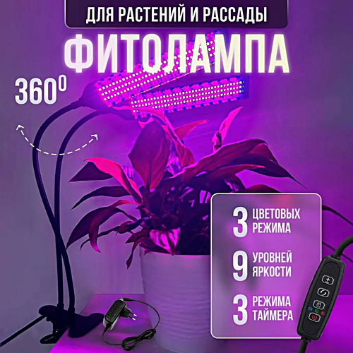 ���� ��������� ������������� ��� �������� � �������, ���������������� ����� �� �������� ��� �������� ����, ����, 2 �����, ������ �� 2290 ���