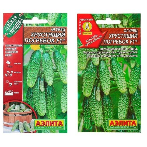 ���� ������ ������ 