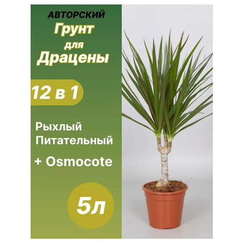 ���� ����� ��� ������� 5 � �������, ������ �� 640 ���