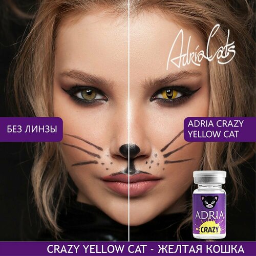 ���� ���������� ����� ADRIA Crazy, 1 ��., R 8,6, D 0, yellow cat, 1 ��., ������ �� 805 ���