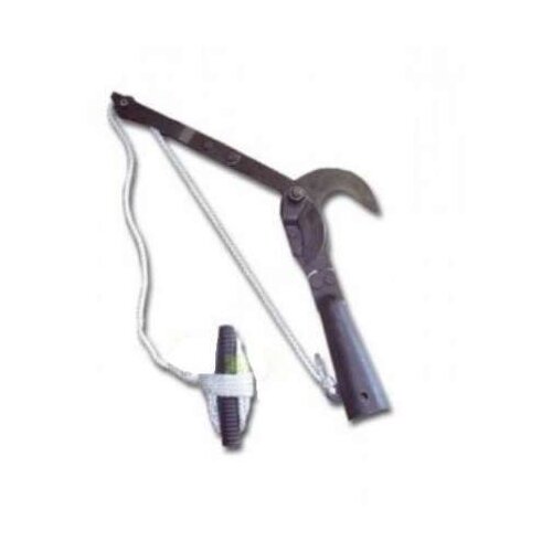 ���� ������ �������-���� 010124 38, ������ �� 856 ���