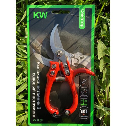 ���� �������, ������� ���������� ��� ������, ��������, ������ /���������� �����/, ������ �� 239 ���