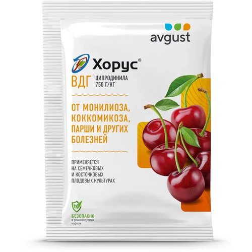 ���� Avgust �������� �� �������� ���������� � ����������� �������� ������� �����, 2 �, ������ �� 196 ���