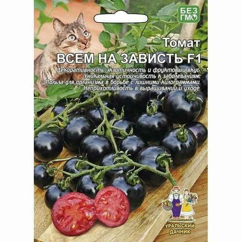 ���� ������ ����� ���� �� ������� F1, ������������, 12��, ������ �� 78 ���