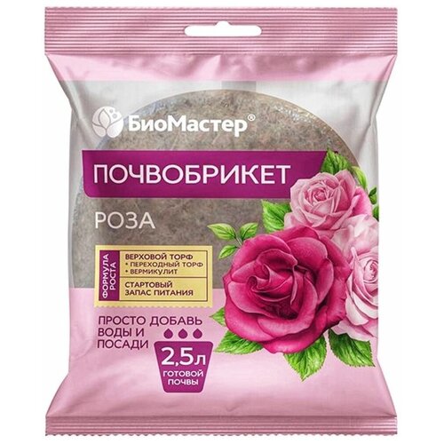 ���� ����� 