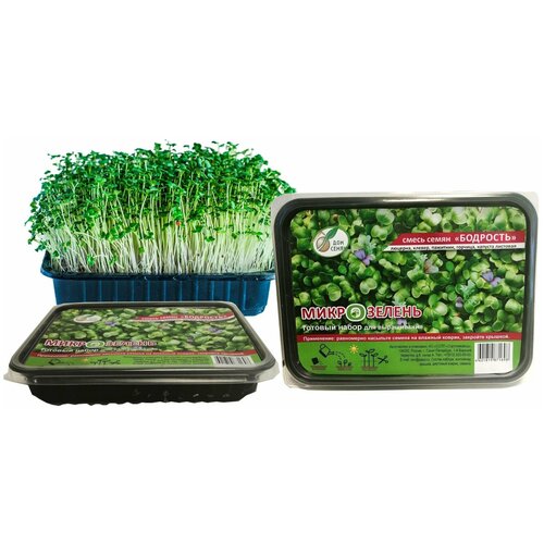       ,   ,  ,   -    , 1 ,   308 