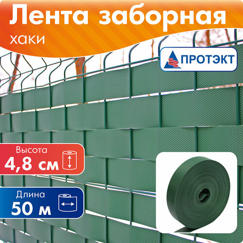 ���� ����� ��� ������ 