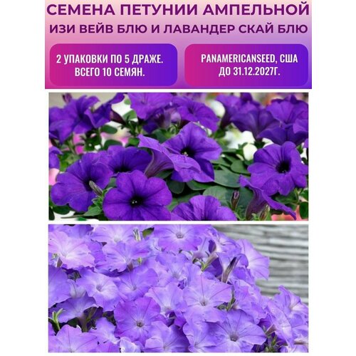 ���� ������� ��������� ��� ���� 2 �������� �� 5 �����: ��� � �������� ���� ���, ������ �� 610 ���