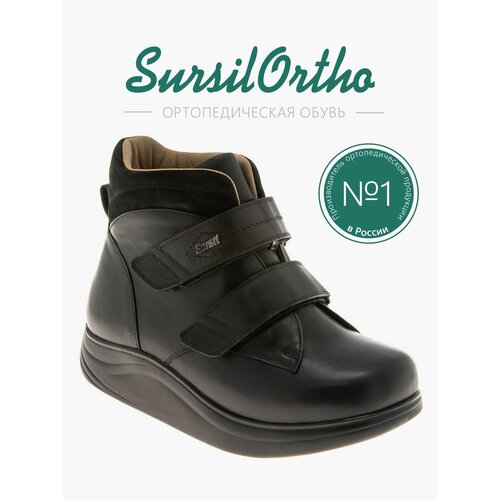 ���� ������������� ����� 141606W, ������ �� 15590 ���