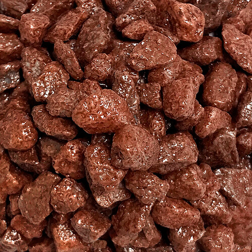 ���� ����������� ����� ��� ��������, ����������� � ��������, Zoo One, ��������� ��������, 