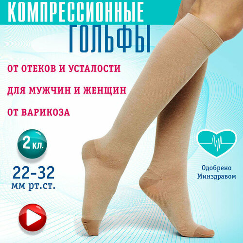 ���� ������ �������������� 2 ����� (��-��2(�)-�/6-����), �������� 6, ������ �� 829 ���