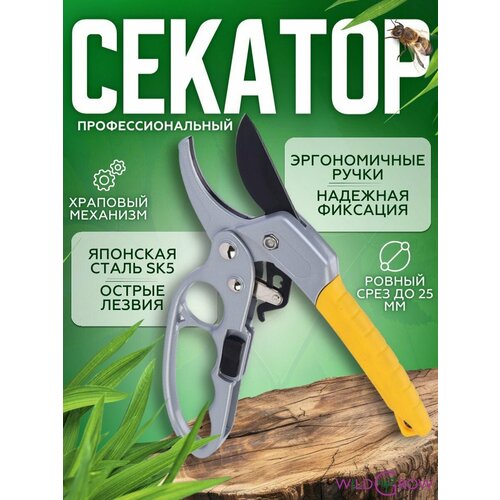 ���� W-GROW ���������������� ������� ������� � �������� ����������, ������ �� 748 ���