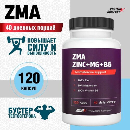  ZMA+ Zn+Mg+B6.  , ,  / /6, 40 , 120 .  776 ,   535 