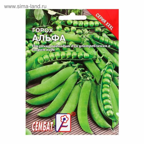 ���� ������ ���L ����� 