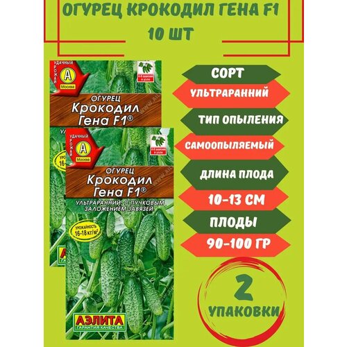 ���� ������ �������� ����,10 ����� 2 ��������, ������ �� 170 ���