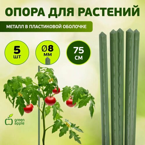 ���� ����� ��� �������� � ������ GREEN APPLE ������ � �������� GCSP-8-75 ��������� ������� 75�� � 8��, 5 ��, ������ �� 294 ���