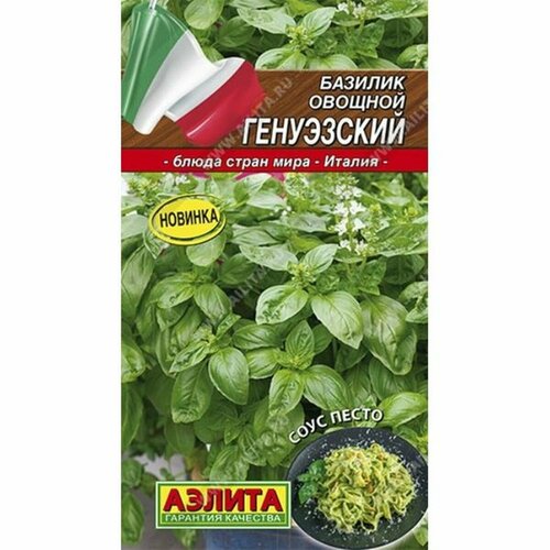 ���� ������ ������� ����������, ������������, (������) 0,3� ����� ����� ����, ������ �� 41 ���