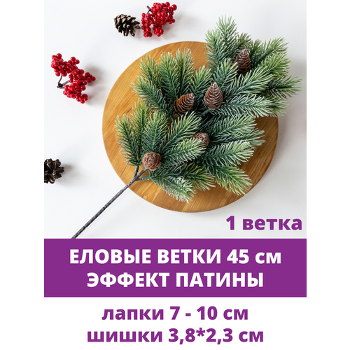 ���� ���, ������ ����� � �������, �������������, 45 ��, ���� ������� � �������, ������ �� 650 ���