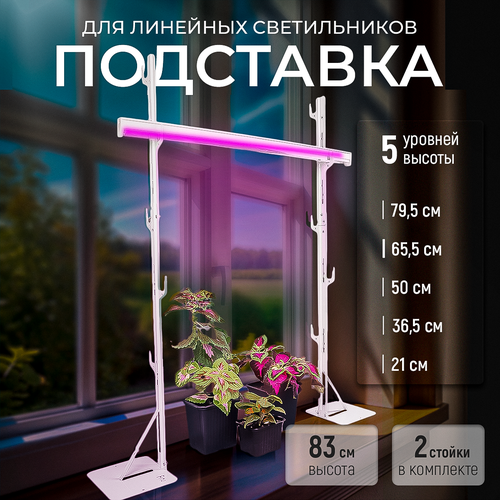 ���� ��������� ��� ���������, 5 �������, ��������� ��� ��������� 83 ��, ������ �� 1000 ���