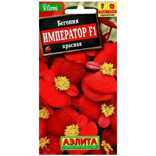 ���� ������� ������������� ��������� ������� F1 ( 3 �������� ) , ������, ������ �� 528 ���