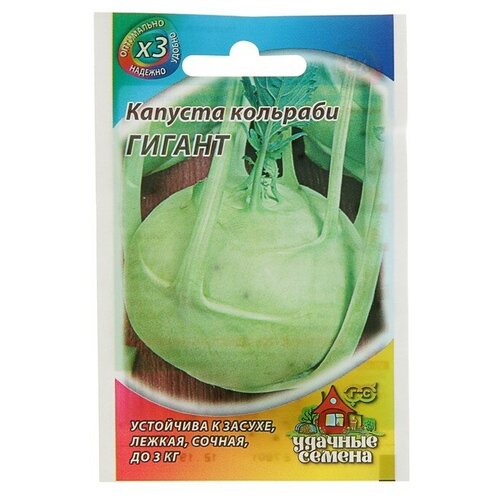 ���� ������ ������� �������� 