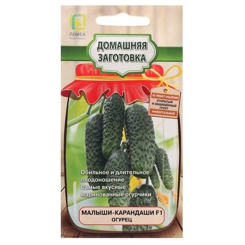 ���� ������ ������ ����� 