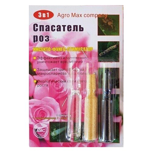 ���� ��������� ���, �������-�����-����������, ����� 3 � 1, ������ �� 226 ���