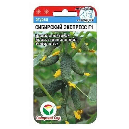 ���� ������ ��������� ��� ������ ��������� �������� F1, 1 ��. �� 7 ��., ������ �� 209 ���