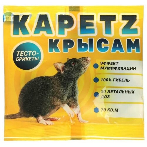 ���� ����� - ������ �� �������� 