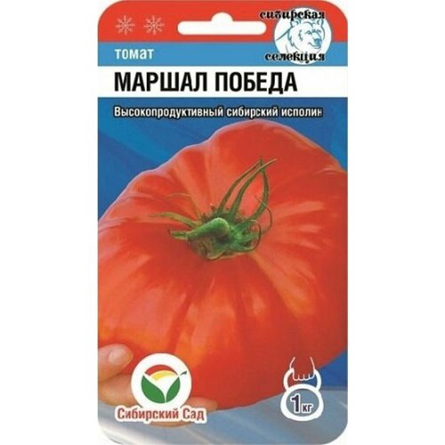 ���� ������ ����� ������ ������ 20�� ����� (��������� ���), ������ �� 57 ���