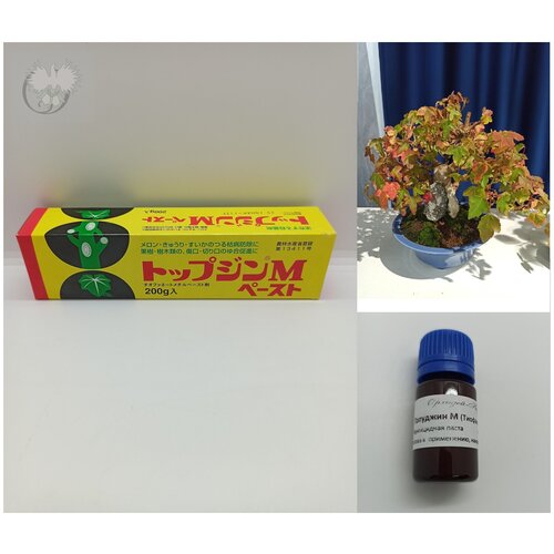 ���� ��������� ����� �� �������� �������� ��� �������, ���, ������. 10 � ������ �������, ������ �� 450 ���