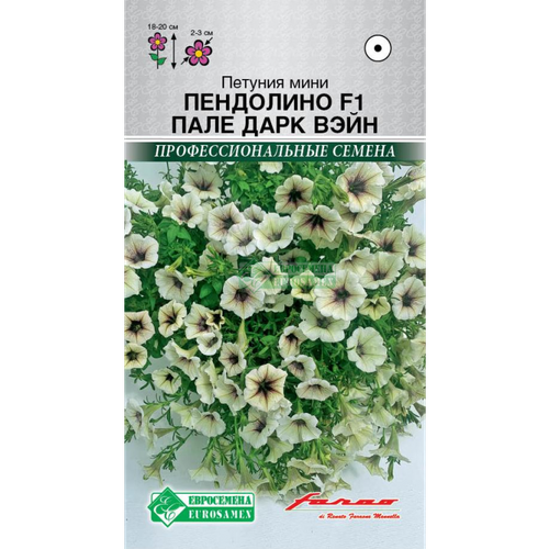 ���� ������ ������� ���� �������������� 