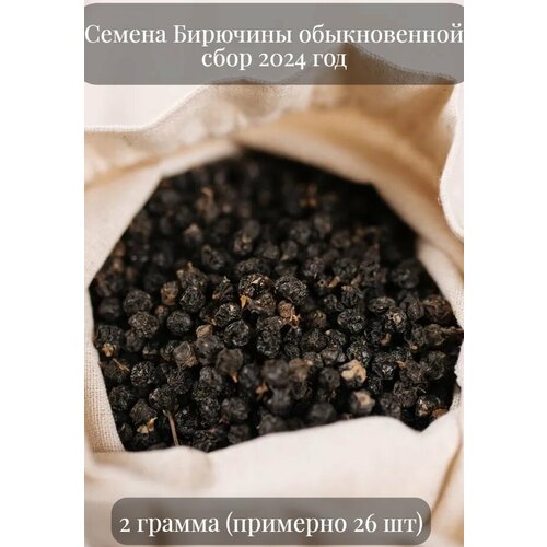 ���� ������ �������� ������������, �������� ��� ����� ��������, 2 ������ (�������� 25 ��), ������ �� 610 ���