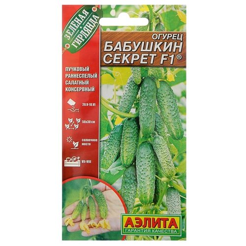 ���� ������ ��������� ������ ������ �������� ������ F1, 10 ��, ������ �� 72 ���