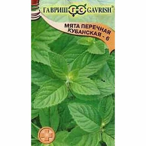 ���� ������ ���� ��������� 6 �������� (������) 0,05�, ������ �� 43 ���