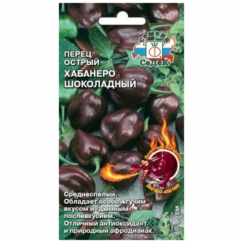 ���� ������ ����� ������� 